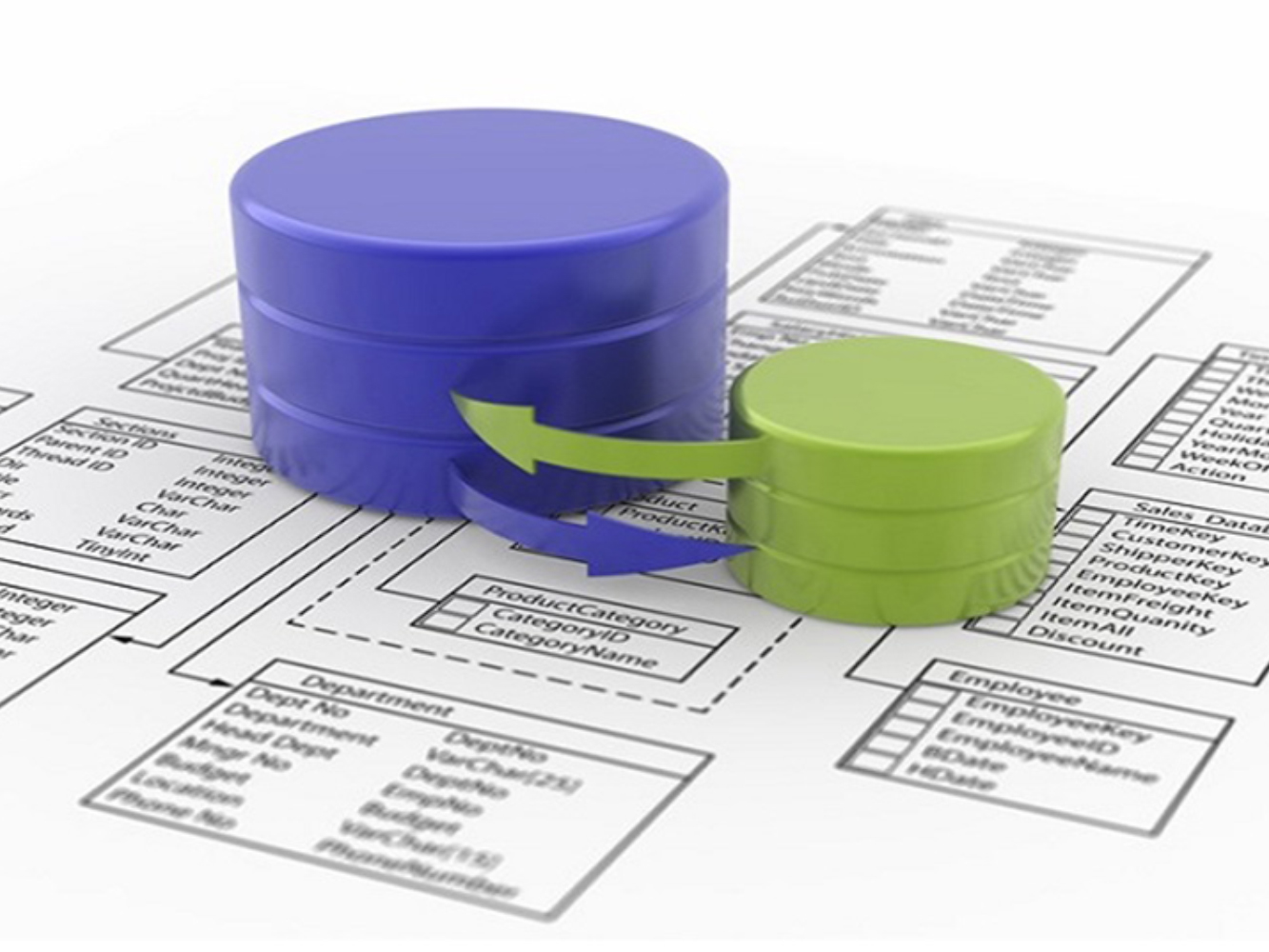 Veritabanı Organizasyonu